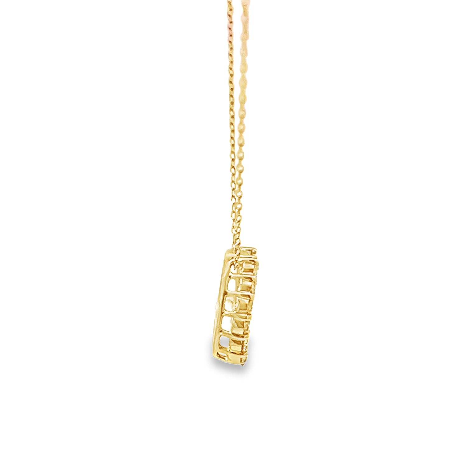 Elegant Gold Horseshoe Pendant Necklace (P2219CH-2)